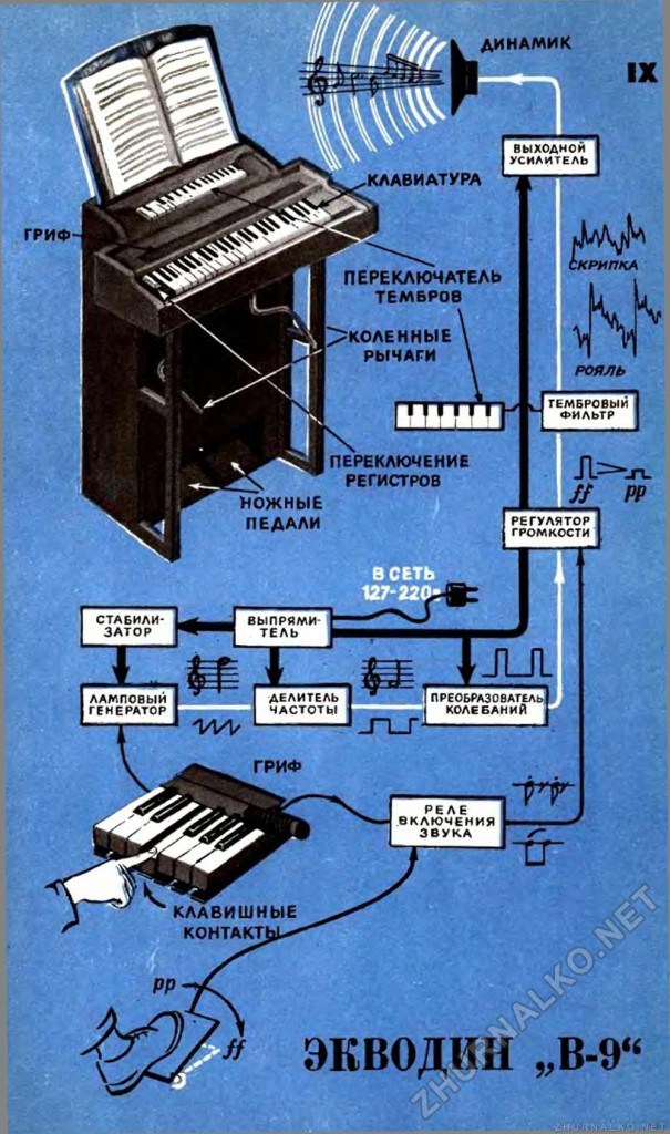 Diagram of the Ekvodin