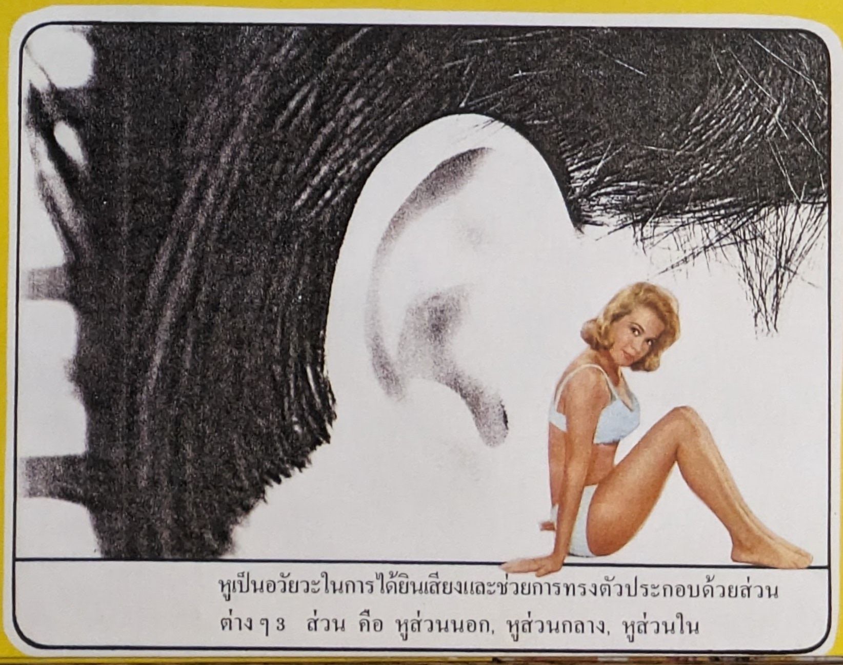 Image of a woman in a swimsuit crudely pasted on top of a clipping of a person's ear, above some Thai text